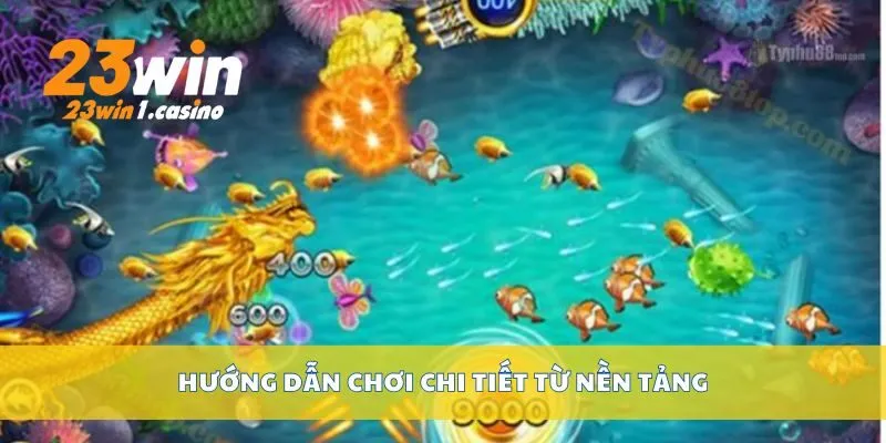 Hướng dẫn chơi chi tiết từ nền tảng