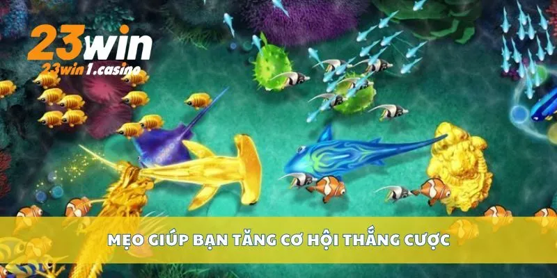 Mẹo giúp bạn tăng cơ hội thắng cược