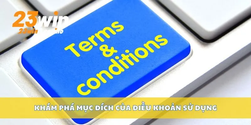 Khám phá mục đích của điều khoản sử dụng