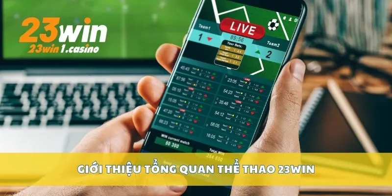 Giới thiệu tổng quan thể thao 23win