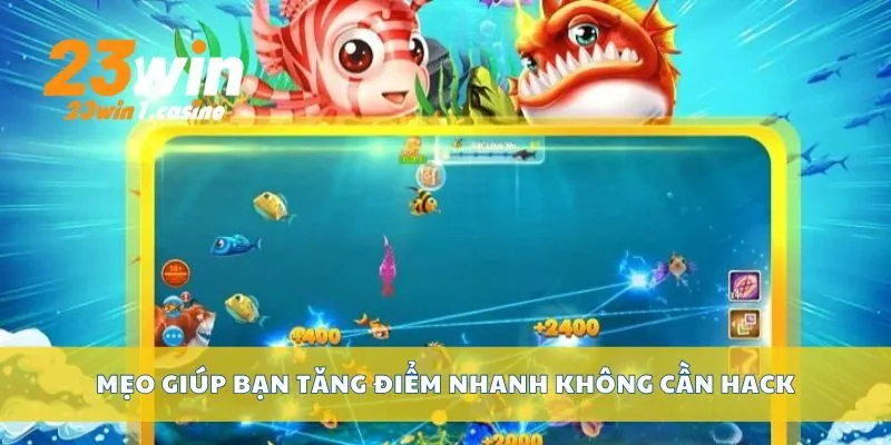Mẹo giúp bạn tăng điểm nhanh không cần hack