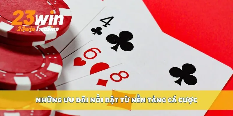 Những ưu đãi nổi bật từ nền tảng cá cược