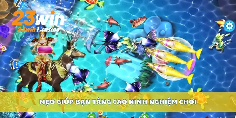 Mẹo giúp bạn tăng cao kinh nghiệm chơi